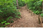 평창군, 명품 숲길 조성을 위한 2023년 숲길 정비 및 실태조사 완료