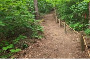 평창군, 명품 숲길 조성을 위한 2023년 숲길 정비 및 실태조사 완료
